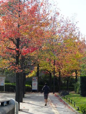 都筑ふれあいの丘の「アメリカンふう」
