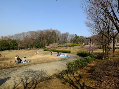 茅ヶ崎公園
