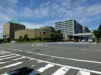 歴博通り　綱島街道交差点
