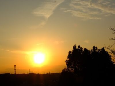 中川のハウスクエア近く（中川西小学校隣）の歩道
