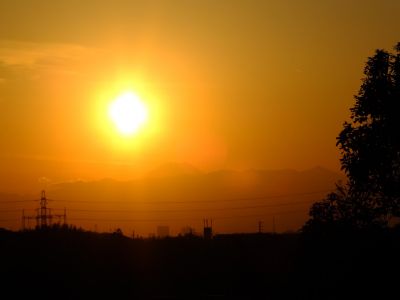 中川のハウスクエア近く（中川西小学校隣）の歩道
