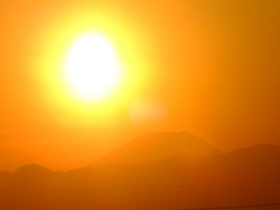 中川のハウスクエア近く（中川西小学校隣）の歩道
