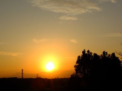 中川のハウスクエア近く（中川西小学校隣）の歩道
