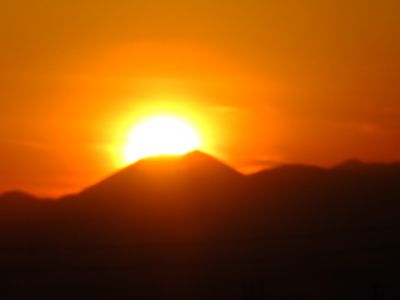 中川のハウスクエア近く（中川西小学校隣）の歩道
