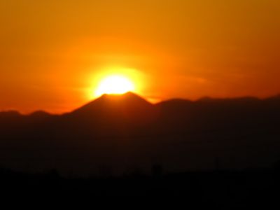 中川のハウスクエア近く（中川西小学校隣）の歩道
