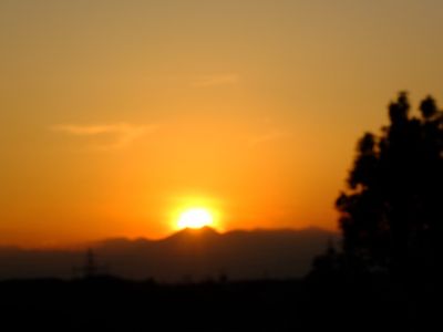 中川のハウスクエア近く（中川西小学校隣）の歩道
