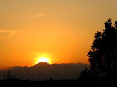 中川のハウスクエア近く（中川西小学校隣）の歩道
