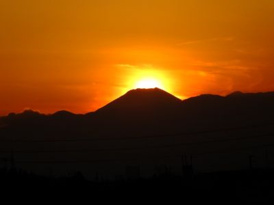 中川のハウスクエア近く（中川西小学校隣）の歩道
