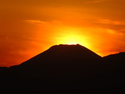 中川のハウスクエア近く（中川西小学校隣）の歩道
