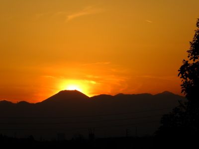 中川のハウスクエア近く（中川西小学校隣）の歩道
