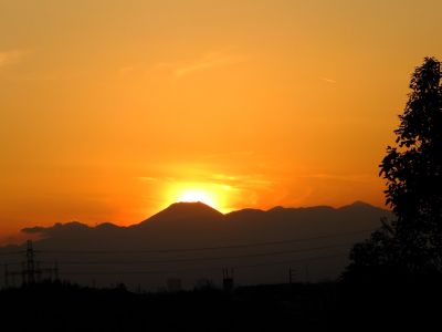中川のハウスクエア近く（中川西小学校隣）の歩道
