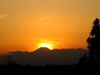 中川のハウスクエア近く（中川西小学校隣）の歩道
