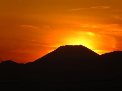 中川のハウスクエア近く（中川西小学校隣）の歩道
