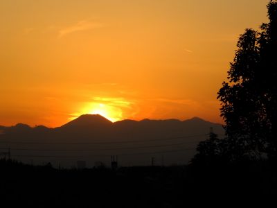 中川のハウスクエア近く（中川西小学校隣）の歩道
