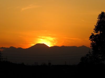 中川のハウスクエア近く（中川西小学校隣）の歩道
