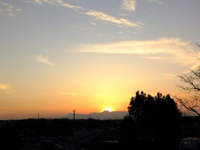 中川のハウスクエア近く（中川西小学校隣）の歩道

