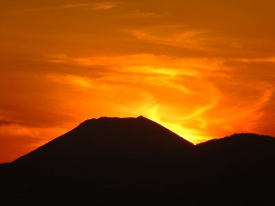 中川のハウスクエア近く（中川西小学校隣）の歩道
