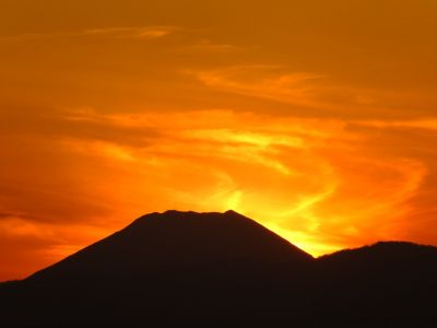 中川のハウスクエア近く（中川西小学校隣）の歩道
