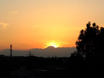 中川のハウスクエア近く（中川西小学校隣）の歩道

