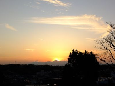 中川のハウスクエア近く（中川西小学校隣）の歩道
