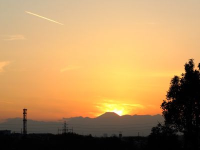 中川のハウスクエア近く（中川西小学校隣）の歩道
