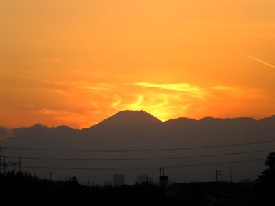 中川のハウスクエア近く（中川西小学校隣）の歩道
