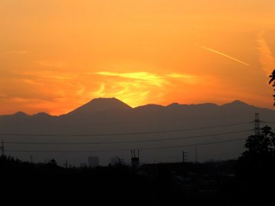 中川のハウスクエア近く（中川西小学校隣）の歩道
