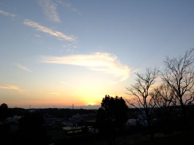 中川のハウスクエア近く（中川西小学校隣）の歩道

