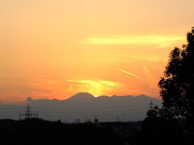 中川のハウスクエア近く（中川西小学校隣）の歩道
