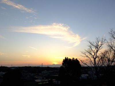 中川のハウスクエア近く（中川西小学校隣）の歩道
