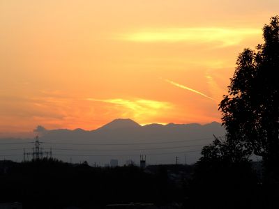 中川のハウスクエア近く（中川西小学校隣）の歩道
