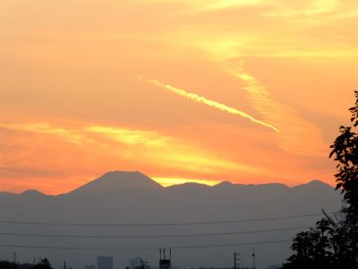 中川のハウスクエア近く（中川西小学校隣）の歩道
