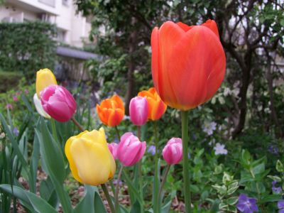 花のある商店街荏田近隣センター
