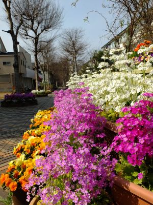 花のある商店街（荏田近隣センター）
