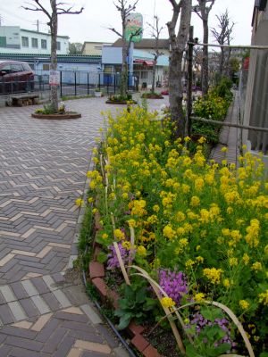 花のある商店街荏田近隣センター
