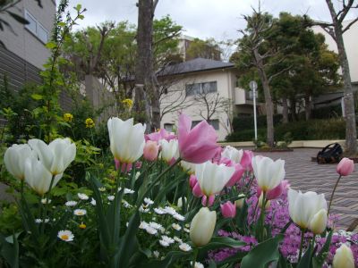 花のある商店街荏田近隣センター
