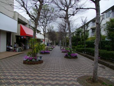 花のある商店街荏田近隣センター
