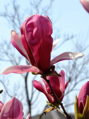 荏田東第一小学校
