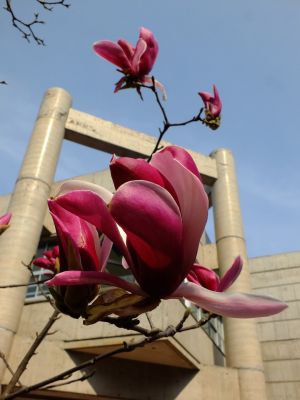 荏田東第一小学校
