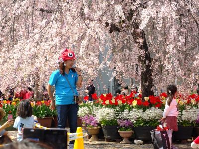 花のある商店街荏田近隣センター
