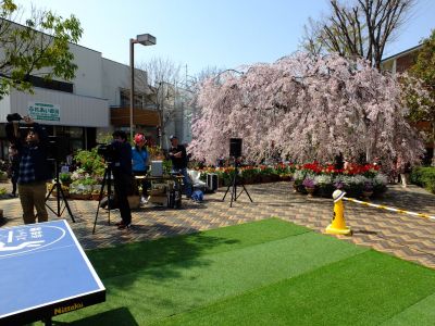 花のある商店街荏田近隣センター
