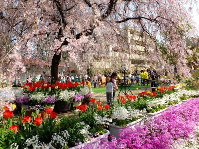 花のある商店街荏田近隣センター
