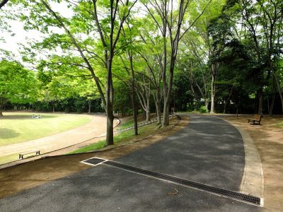 鴨池公園
