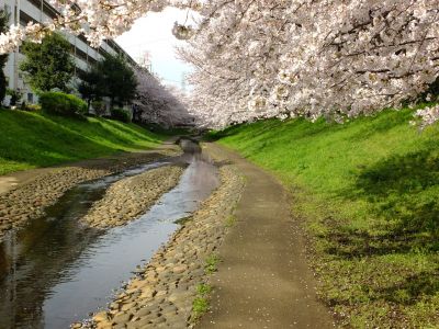 江川せせらぎ緑道
