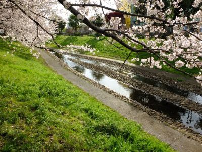 江川せせらぎ緑道
