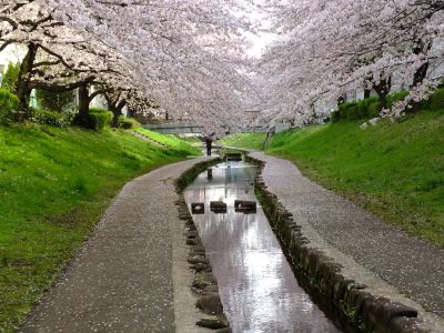 江川せせらぎ緑道
