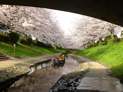 江川せせらぎ緑道
