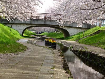 江川せせらぎ緑道
