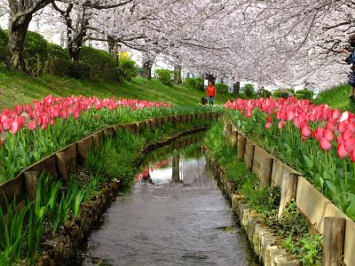 江川せせらぎ緑道
