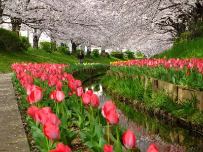 江川せせらぎ緑道
